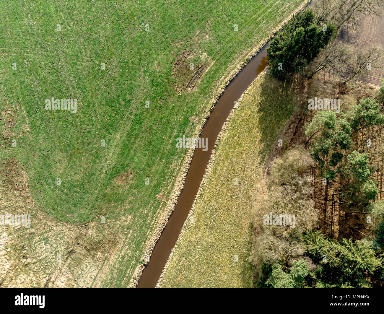 Aerial flight over pine tree hi-res stock photography and images - Alamy