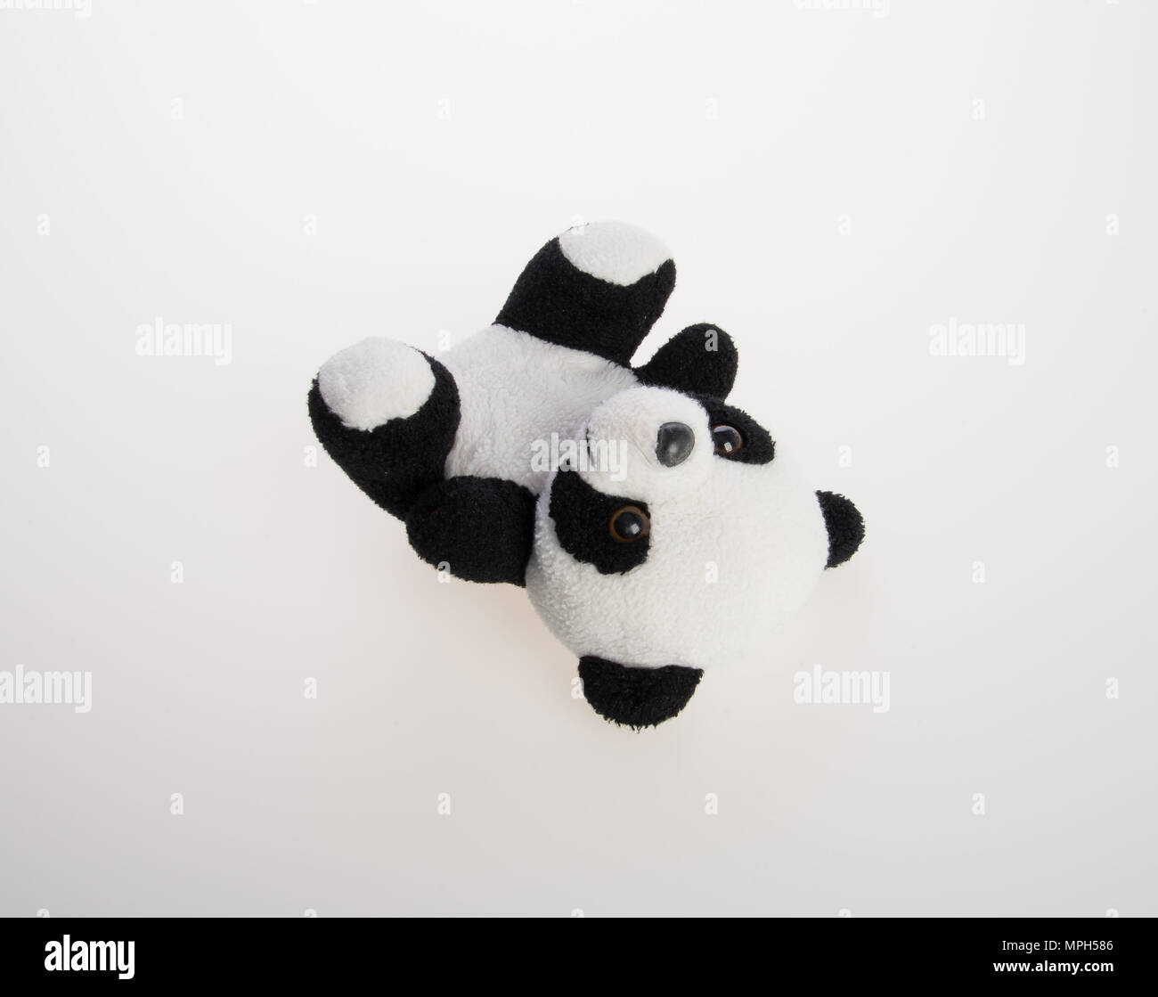 toy or panda soft toy on a background Stock Photo