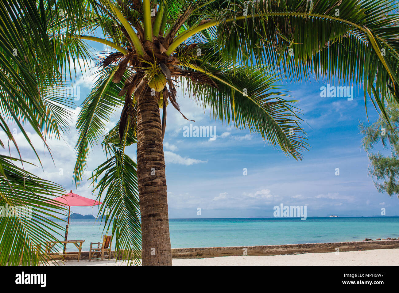 Coconut palm trees on a tropical beach with beautiful sea view Stock ...