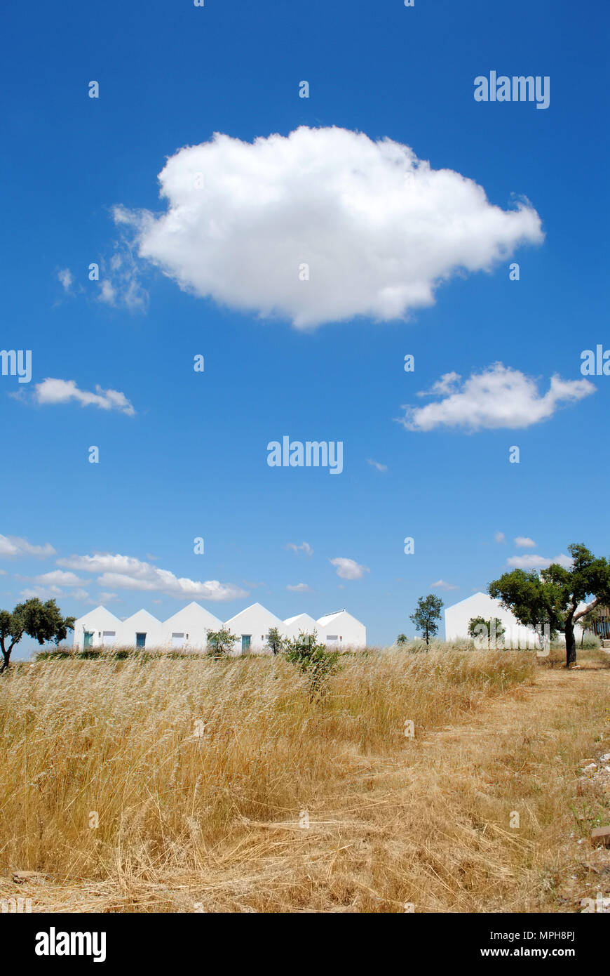 An example of the idyllic Alentejo countryside featuring a field with cork oaks and some modern white buildings. Stock Photo