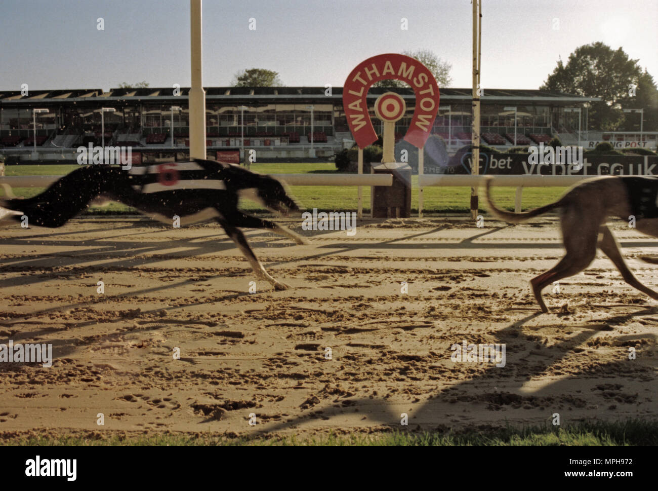 Walthamstow dog track hires stock photography and images Alamy