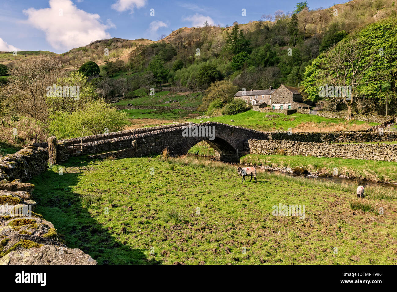 Sadgill hires stock photography and images Alamy