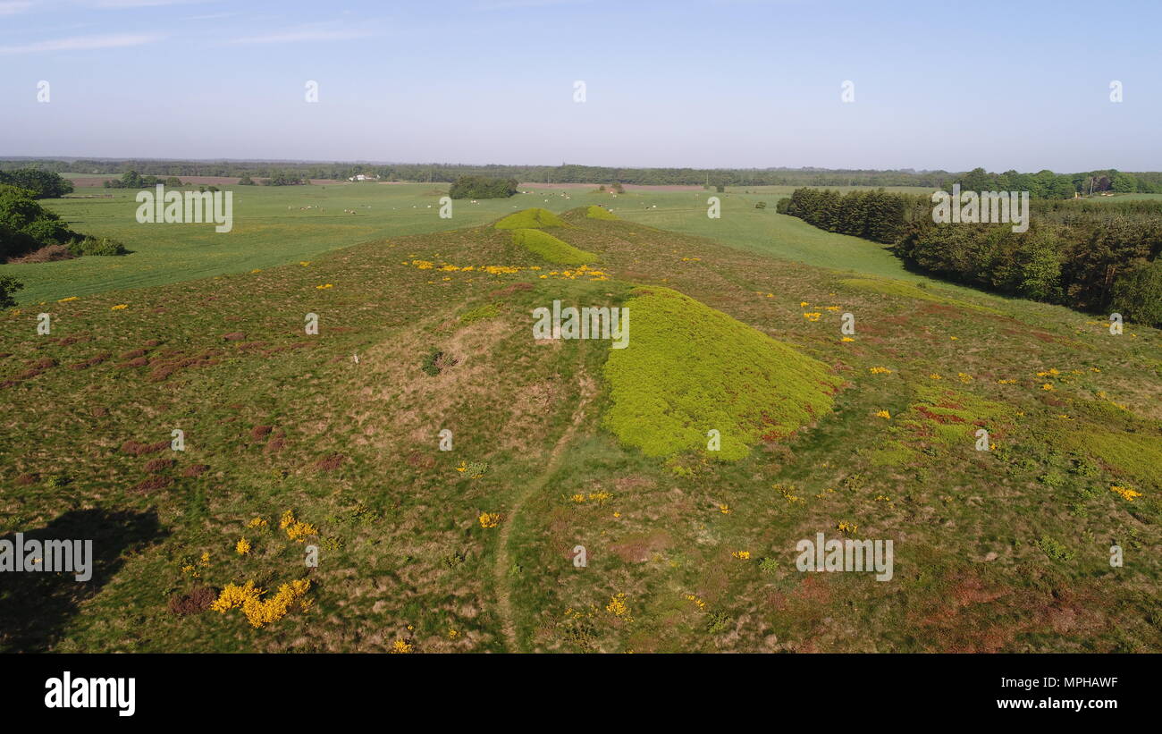 Bronze Age mounds (Firehøje) near Vejle in Denmark. Stock Photo