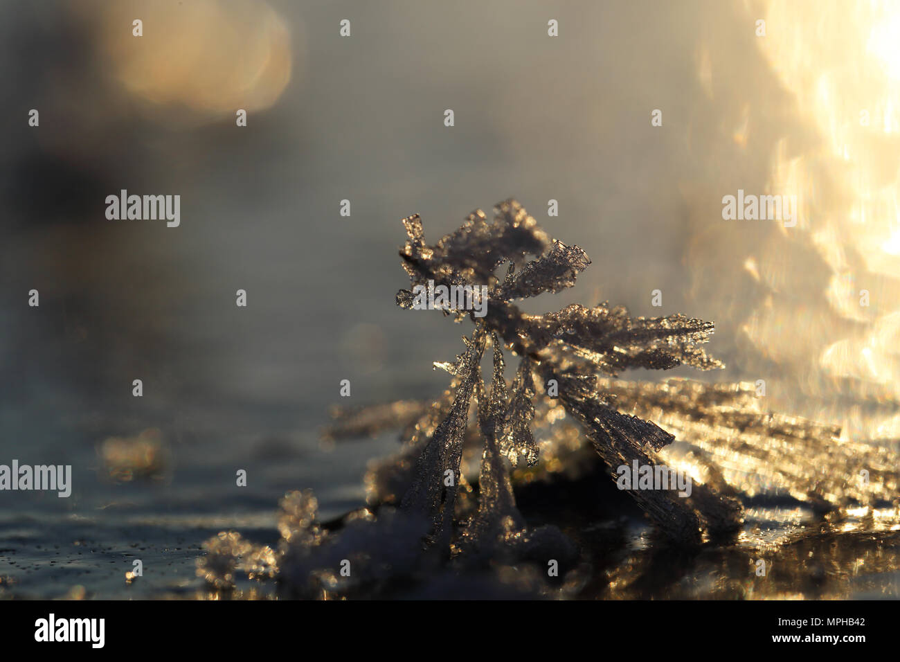 Ice crystals a winter morning Stock Photo
