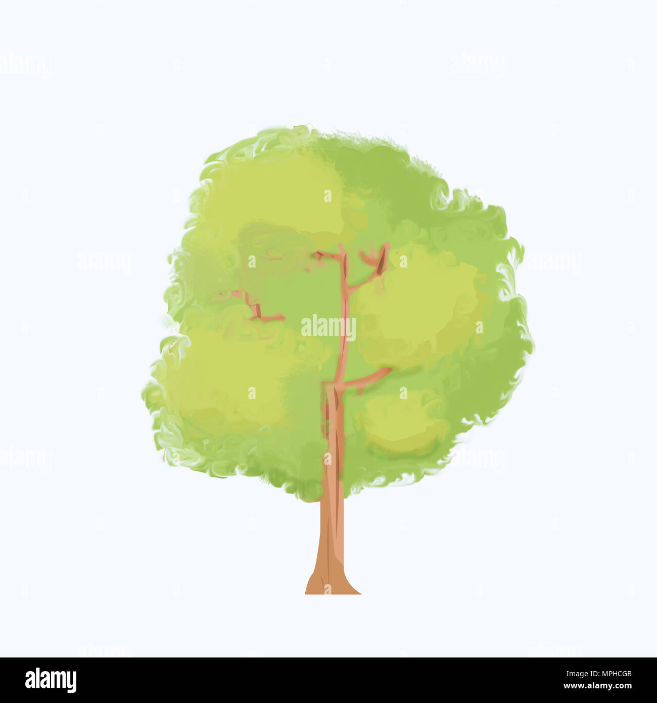 Tree design illustration with isolated white background.Cartoon tree on white.Big plant illustration Stock Photo