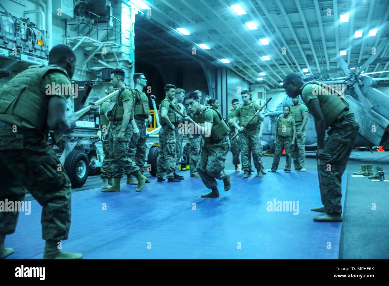 Download Marine Corps Martial Arts Program Training Log Book