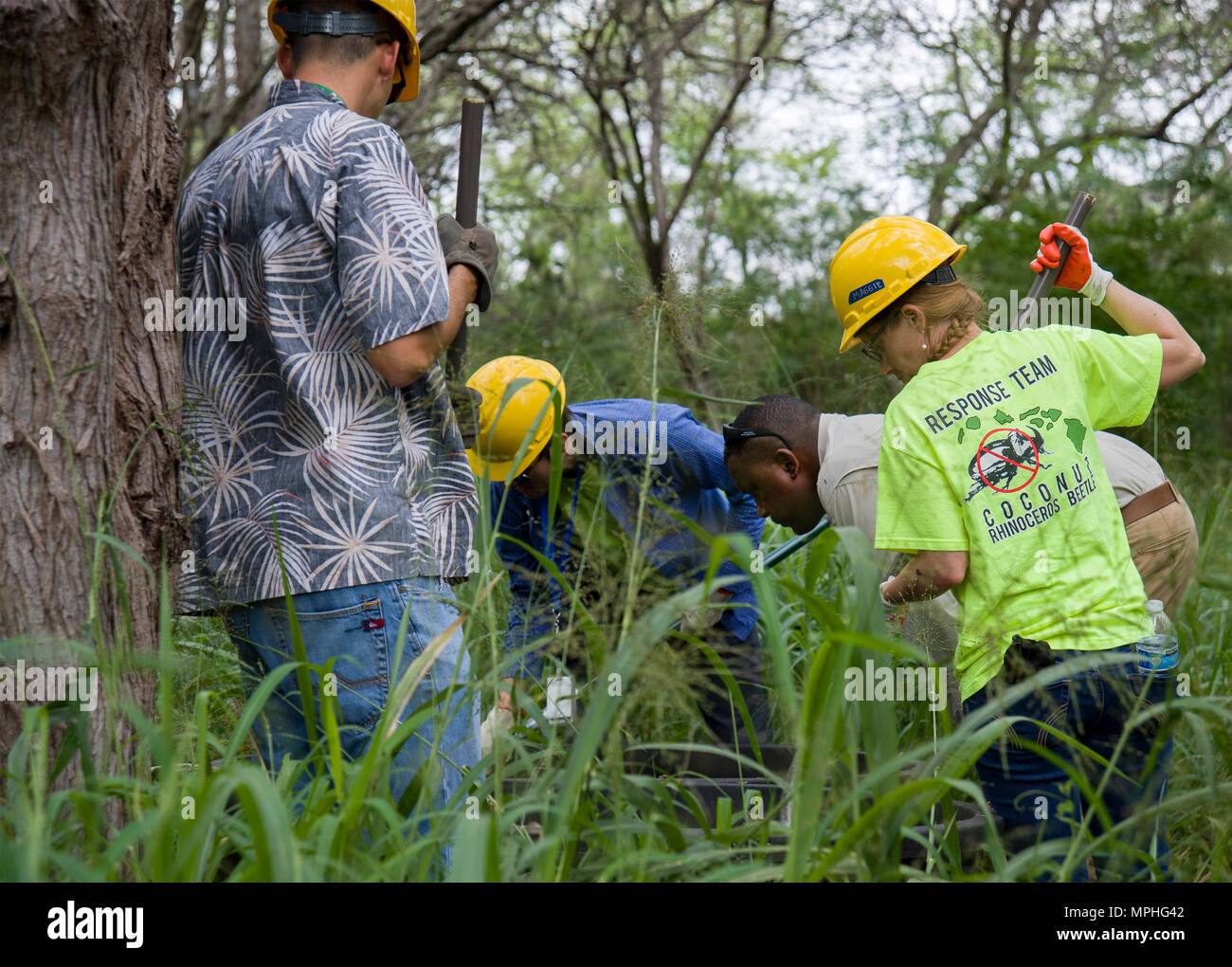 Leroy Whilby, Bureau Chief at Florida Dept. of Agriculture and Consumer Services and member of the Tri-State Initiative for Outreach and Communication delegation (middle right), watches team members of the Coconut Rhinoceros Beetle (CRB) Project survey the soil during a visit hosted by Naval Facilities Engineering Command (NAVFAC) Hawaii, Hawaii Department of Agriculture (HDOA), and Hawaii Natural Resources Committee, on Joint Base Pearl Harbor-Hickam, March 13, 2017. The Tri-State Initiative, which includes several representatives from the HDOA, the Florida Dept. of Agriculture and Consumer S Stock Photo