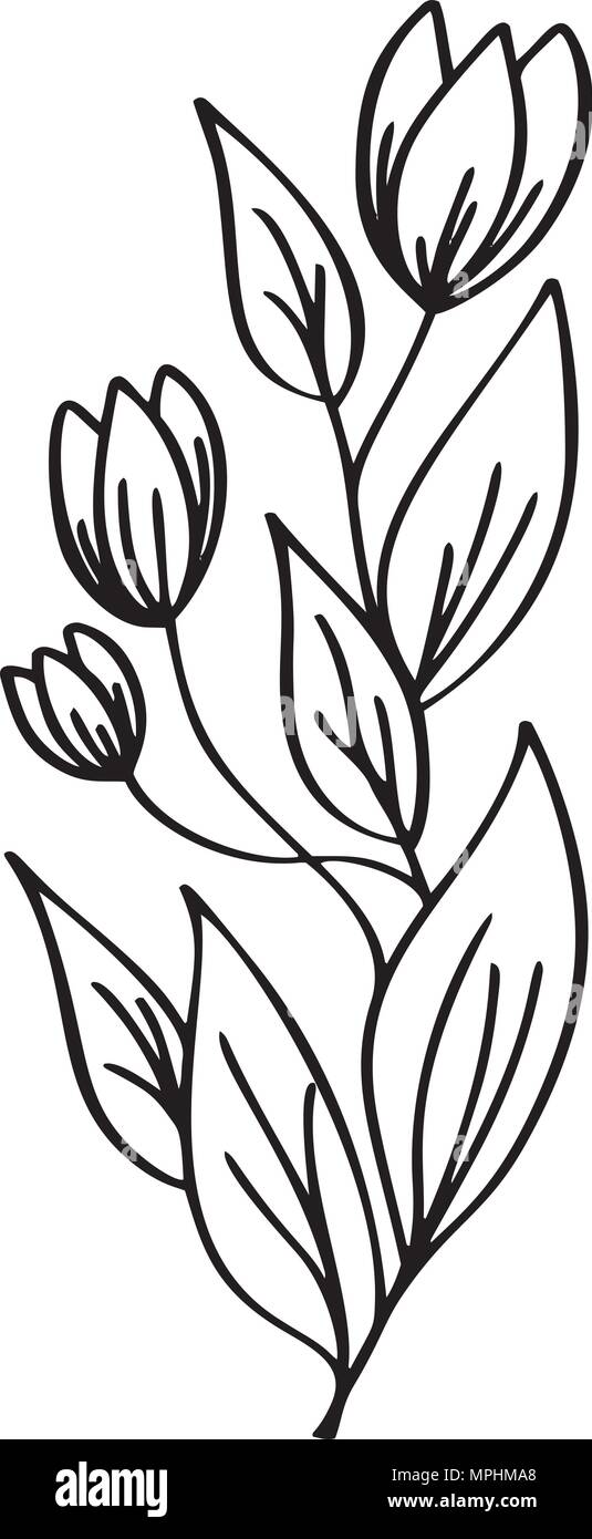 sketch flower design