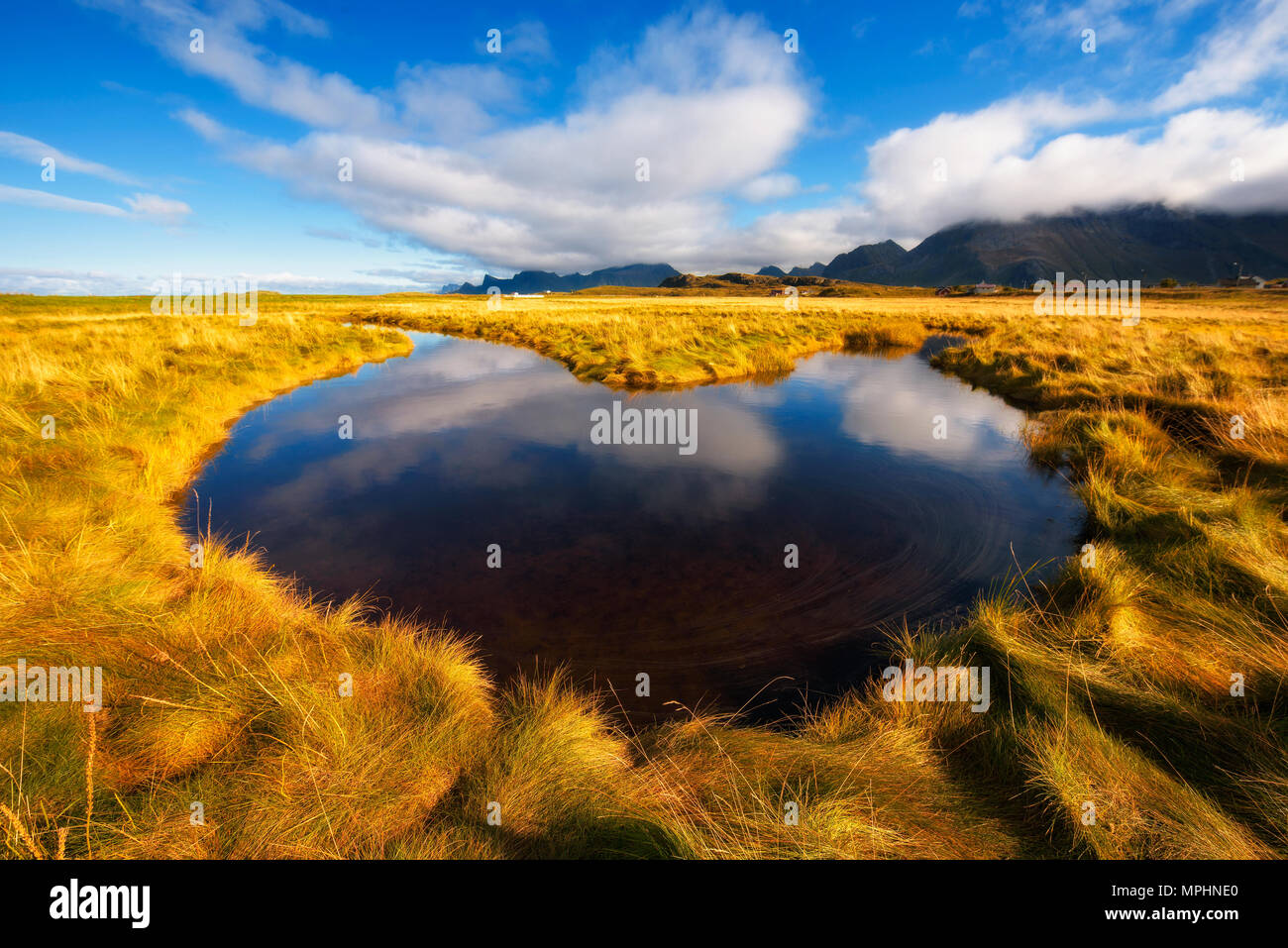 Small stream running through nordic nature on Lofoten islands Stock Photo