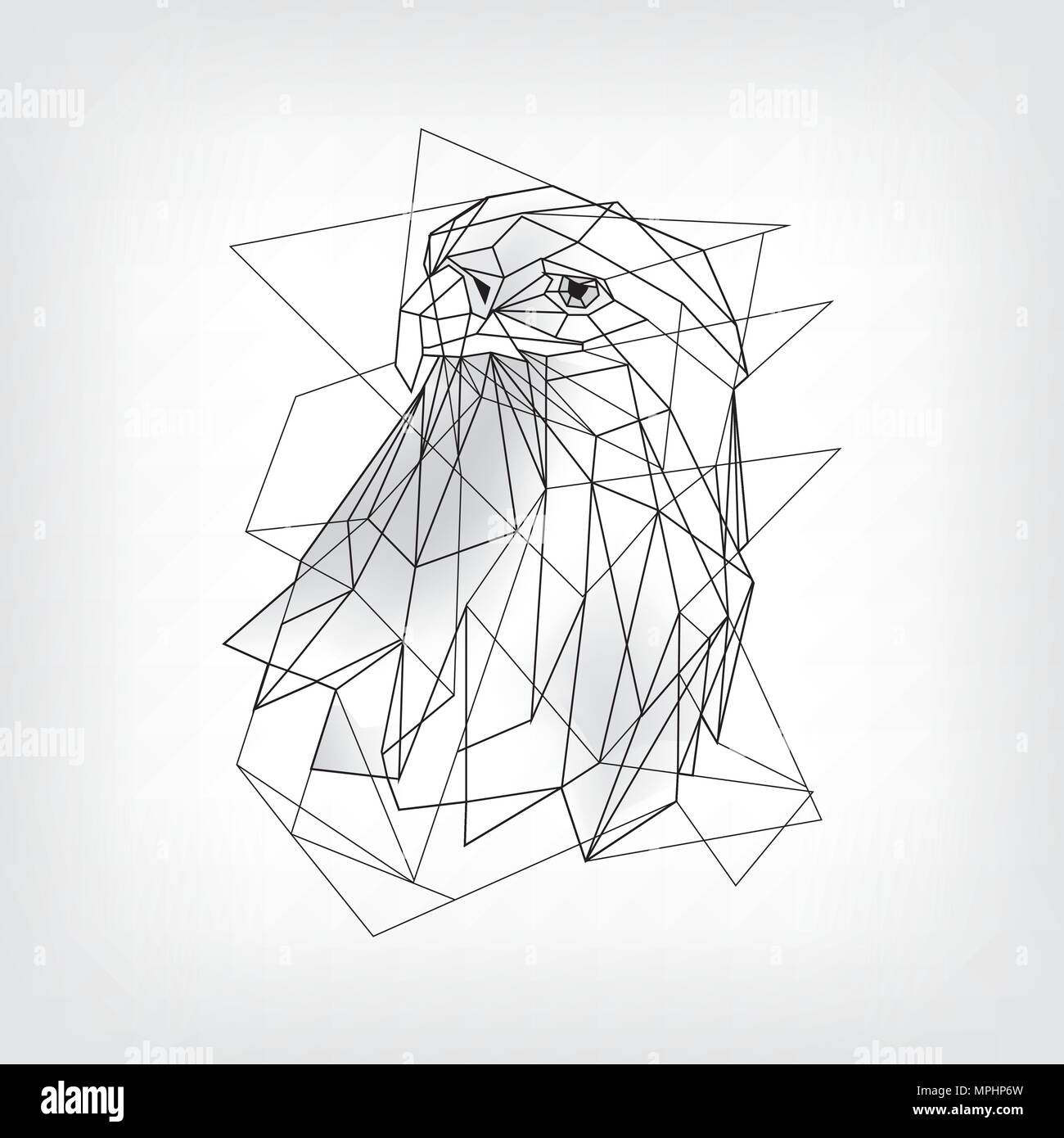 Eagle bird design. Triangle vector illustration Stock Vector Image