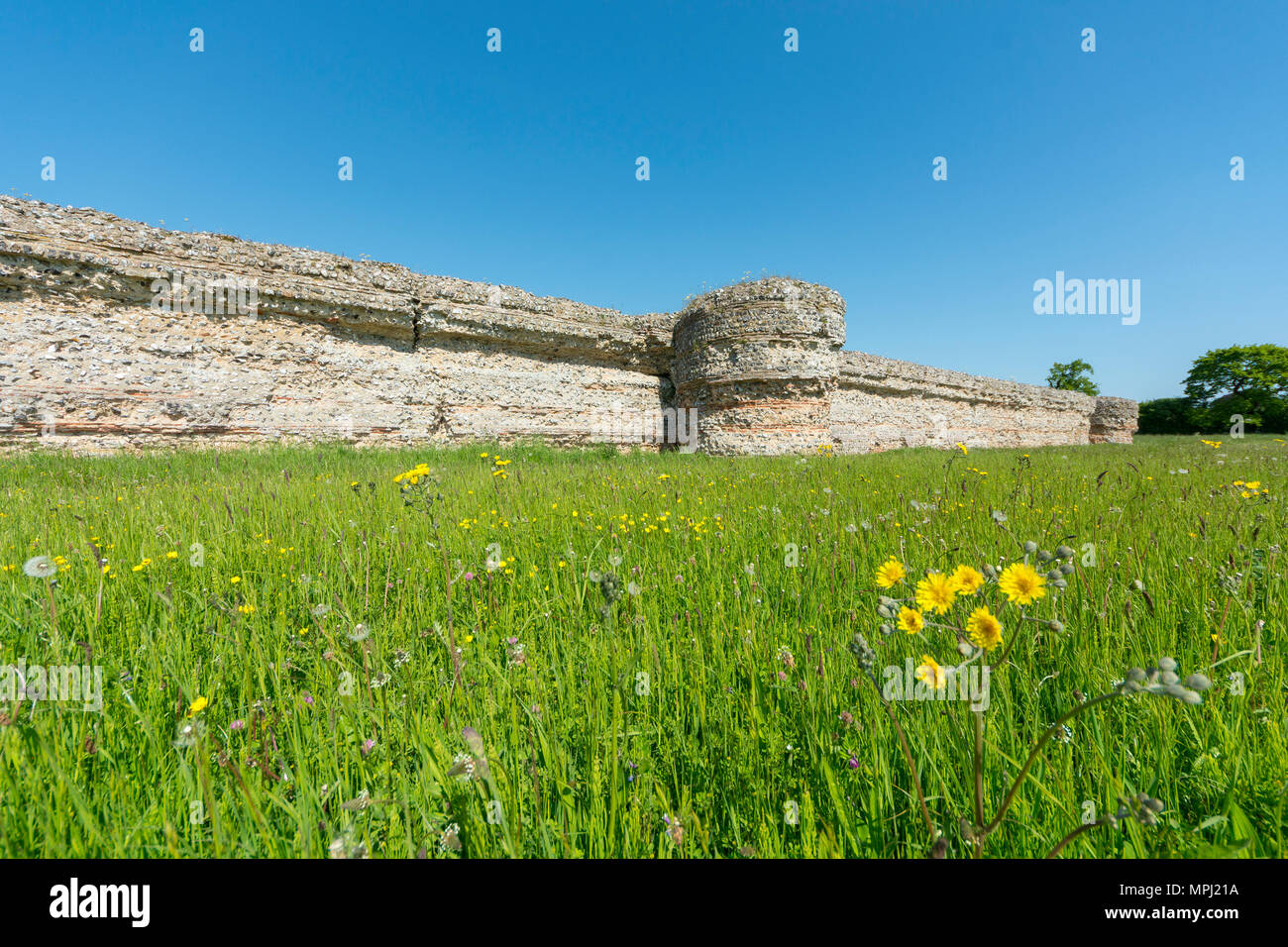 Burgh Castle east wall Stock Photo Alamy