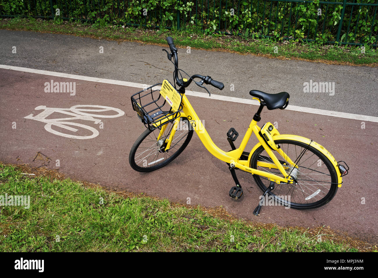 ofo near me