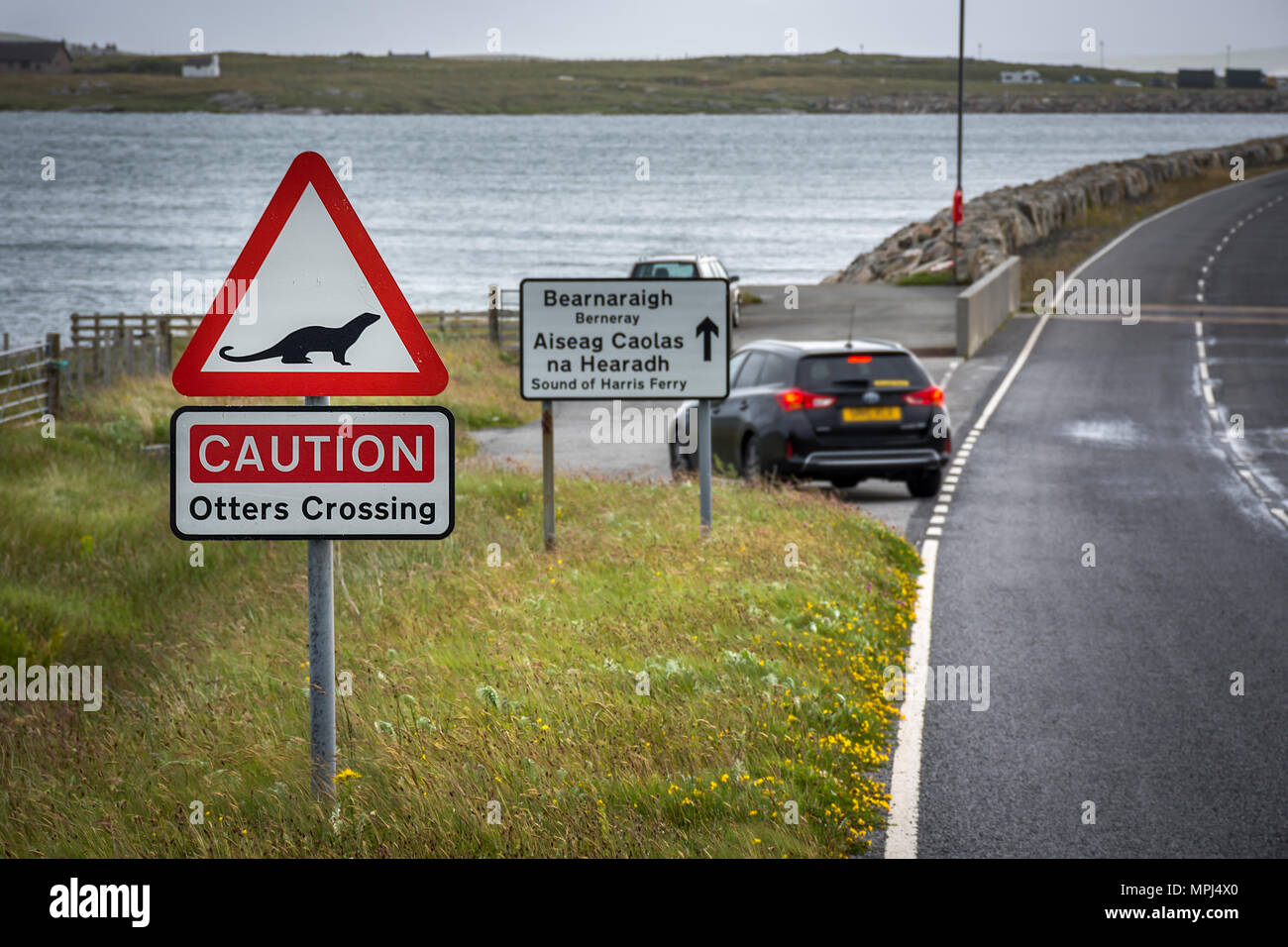 Road sign for otters crossing on the Isle of North Uist, Outer Hebrides, Scotland. Unusual warning road sign for animal on the road. Stock Photo