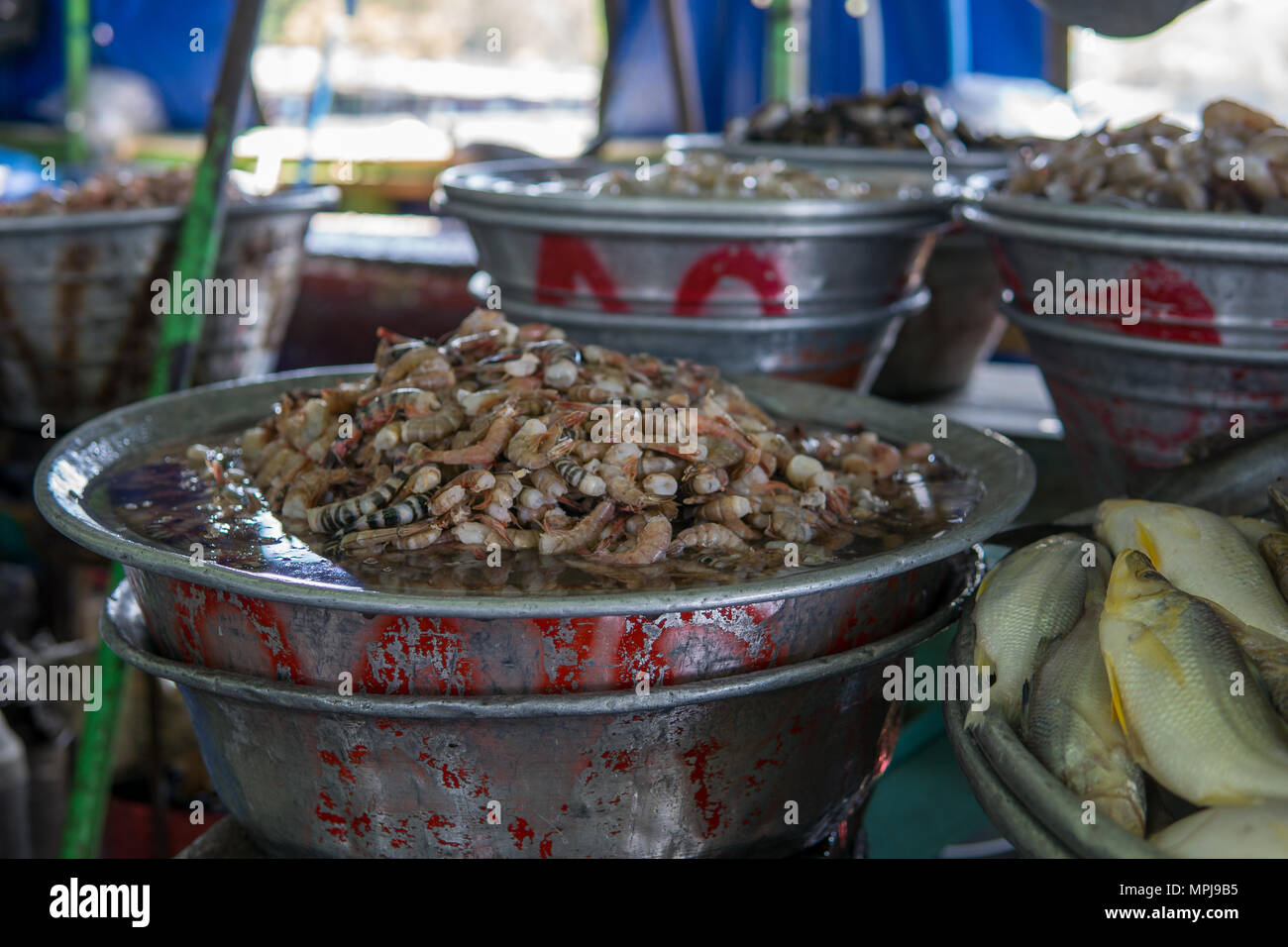 Big barrels with different freshwater prawns and shrimps on a local market in central america. Stock Photo