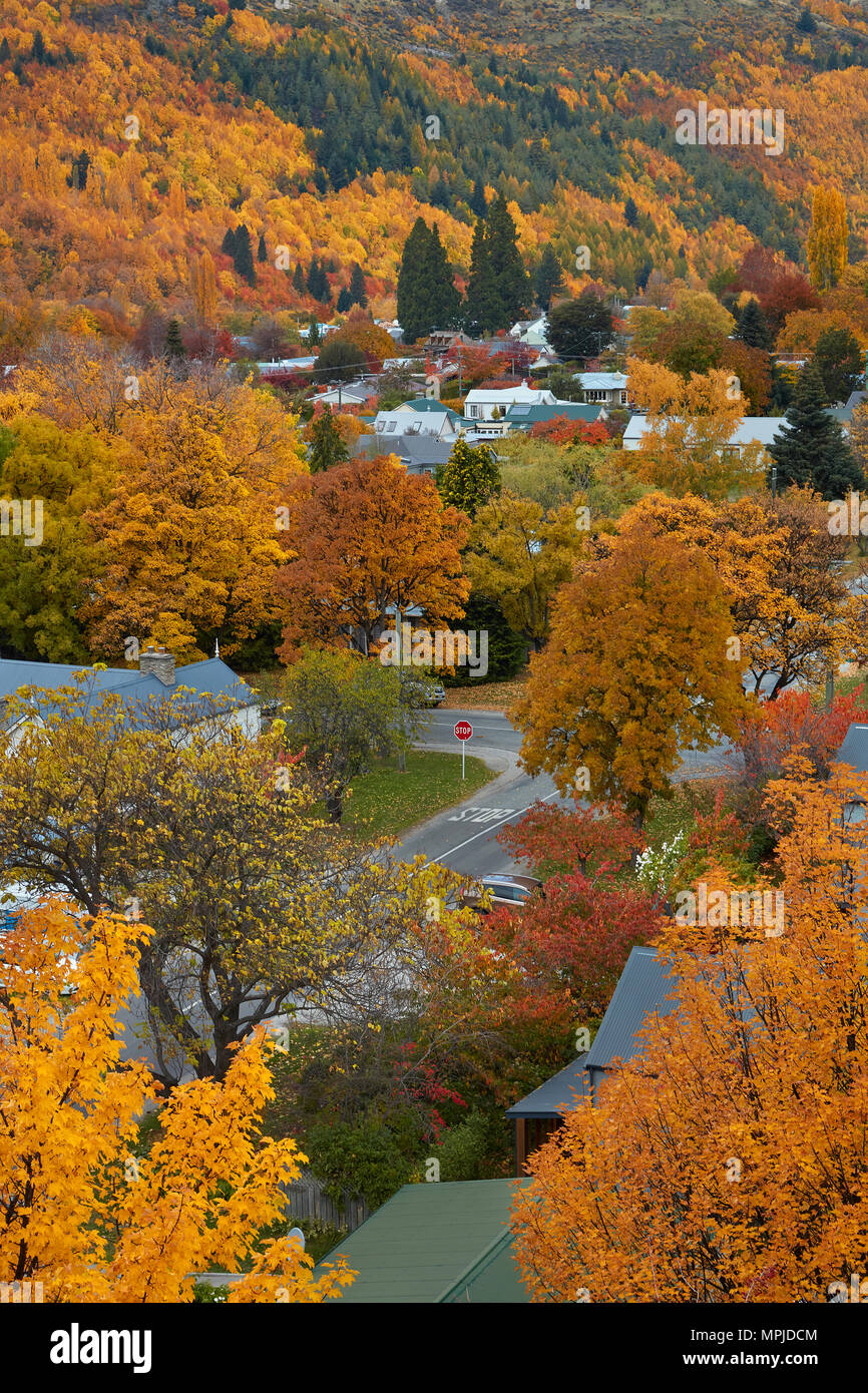 Autumn trees, Arrowtown, near Queenstown, Otago, South Island, New