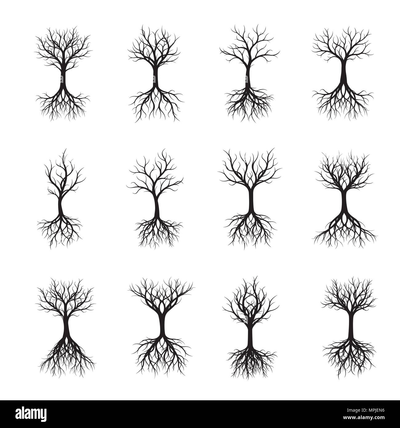 Set of black Trees. Vector Illustration. Stock Photo