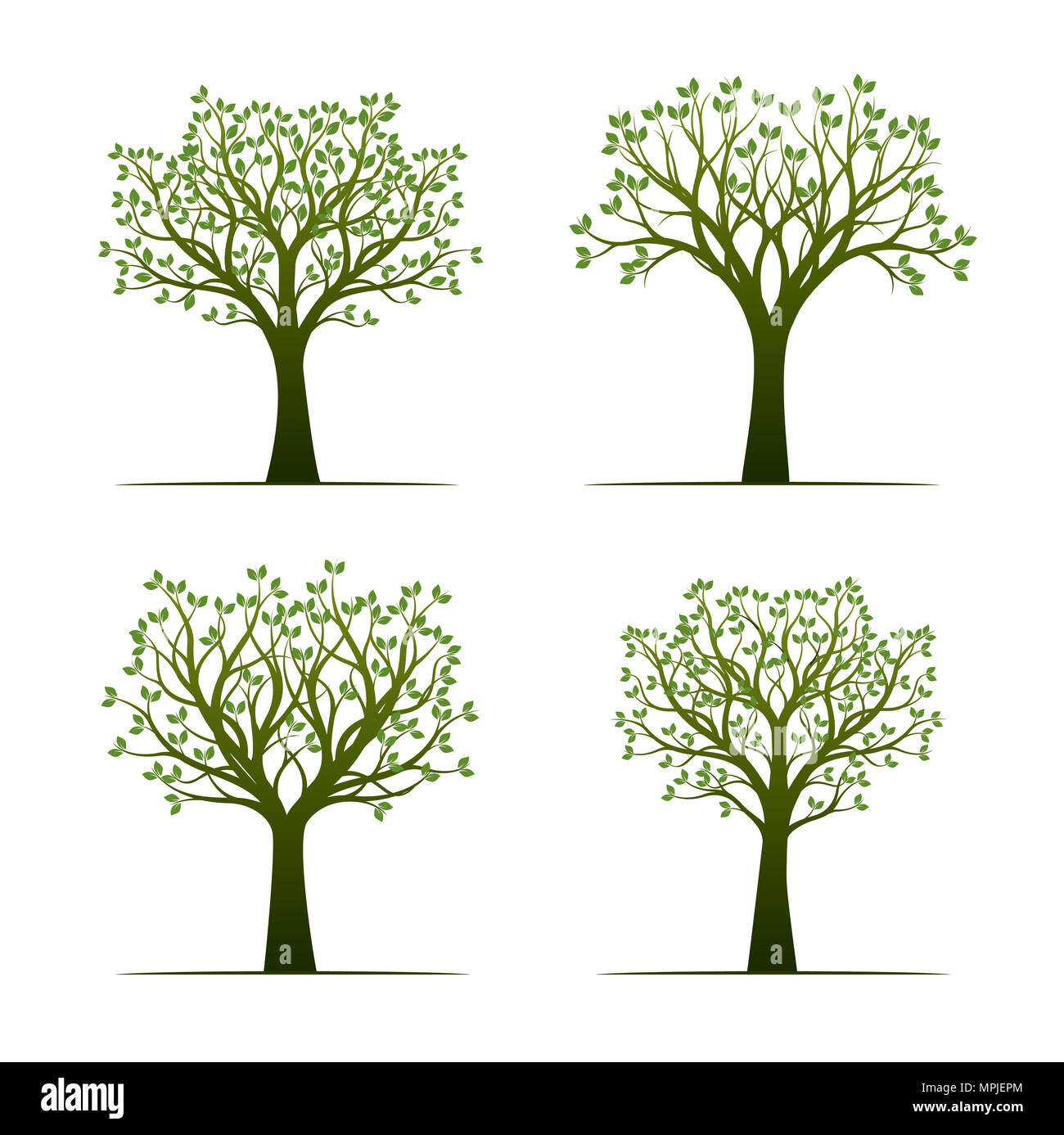 Set of green Trees with Leaves. Vector Illustration. Plants and garden. Stock Photo