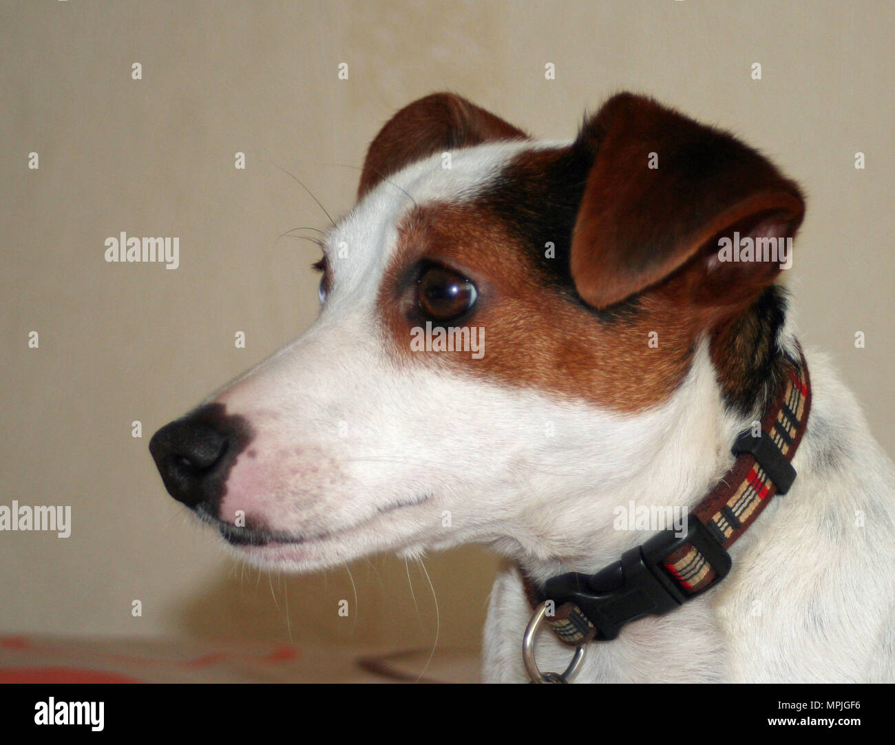 Kopf Un High Resolution Stock Photography and Images - Alamy
