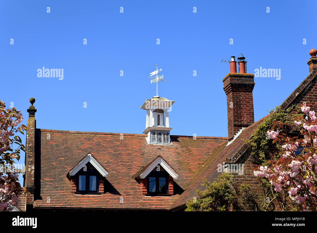 The Old School Roof in Knapton village, Norfolk, England, UK Stock Photo