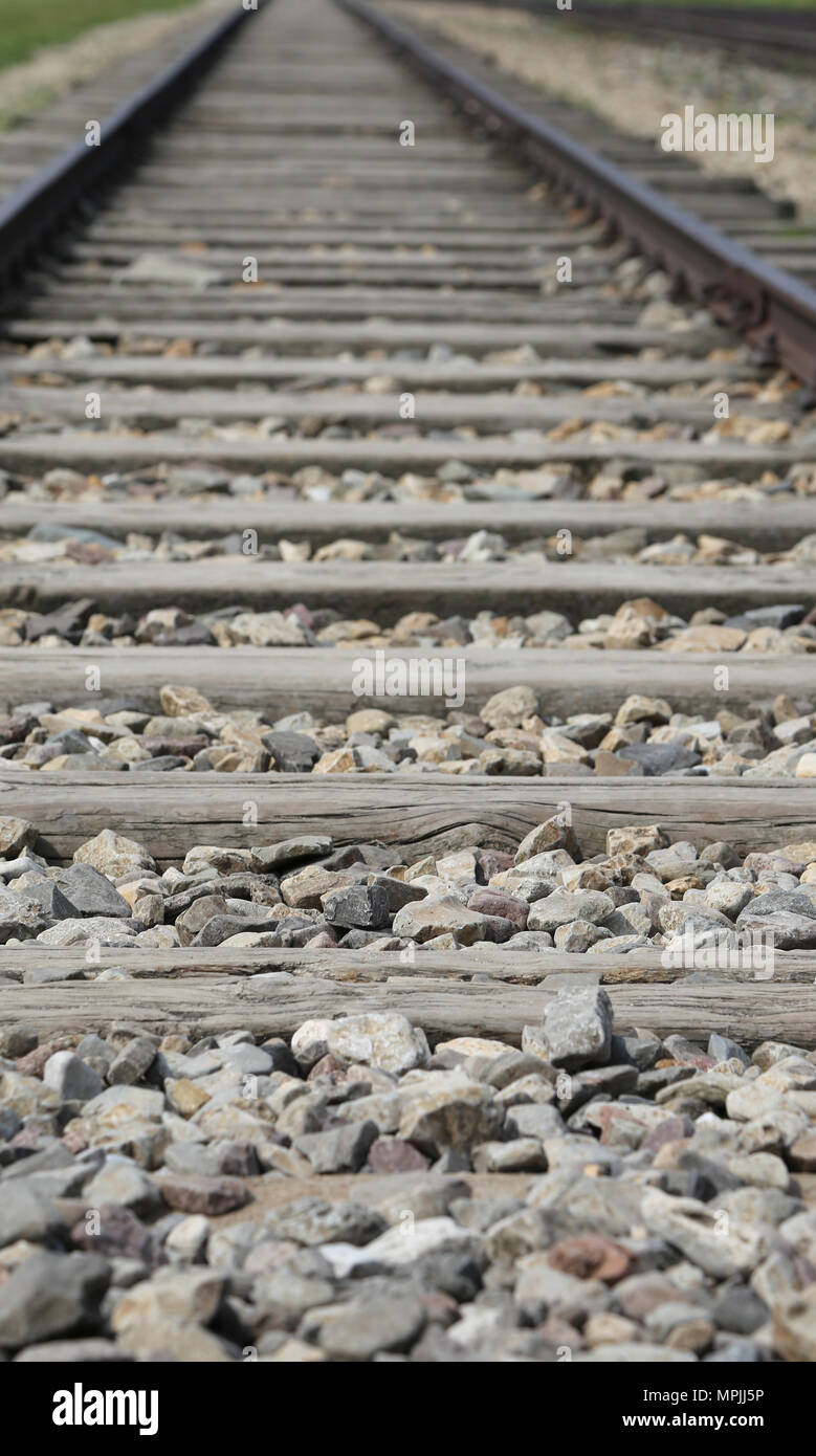 railroad track that carried the Nazi trains to the concentration camp Stock Photo