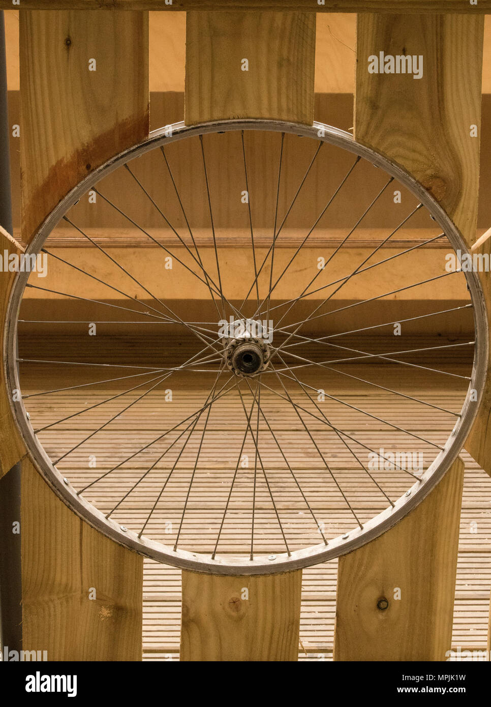 upcycled bicycle wheel set in wooden fence for decoration Stock Photo