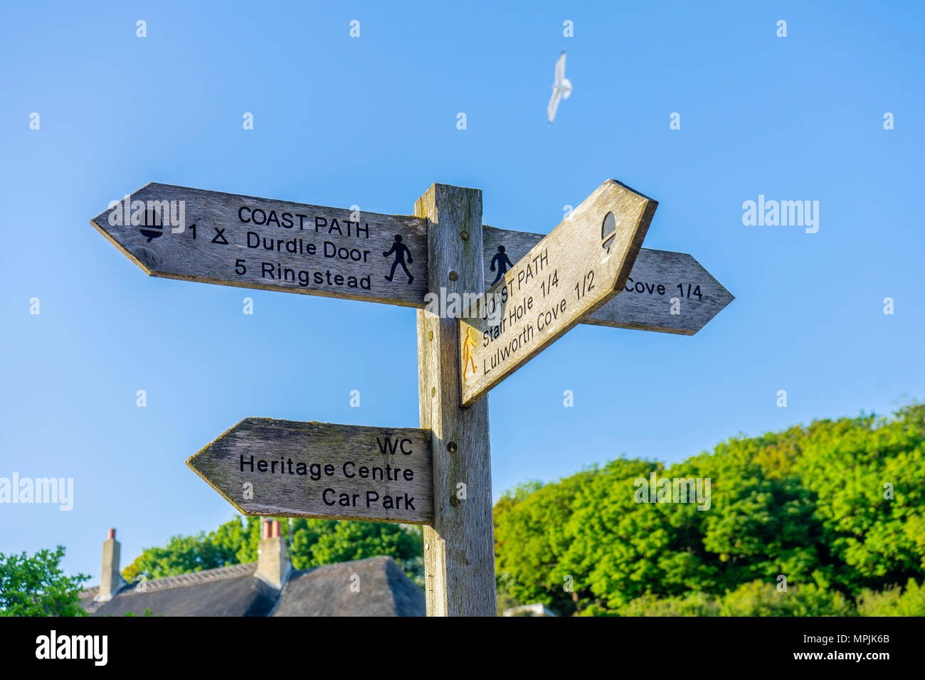 Wooden signpost with directions along the South West Coast Path in Lulworth, Dorset, England, UK Stock Photo