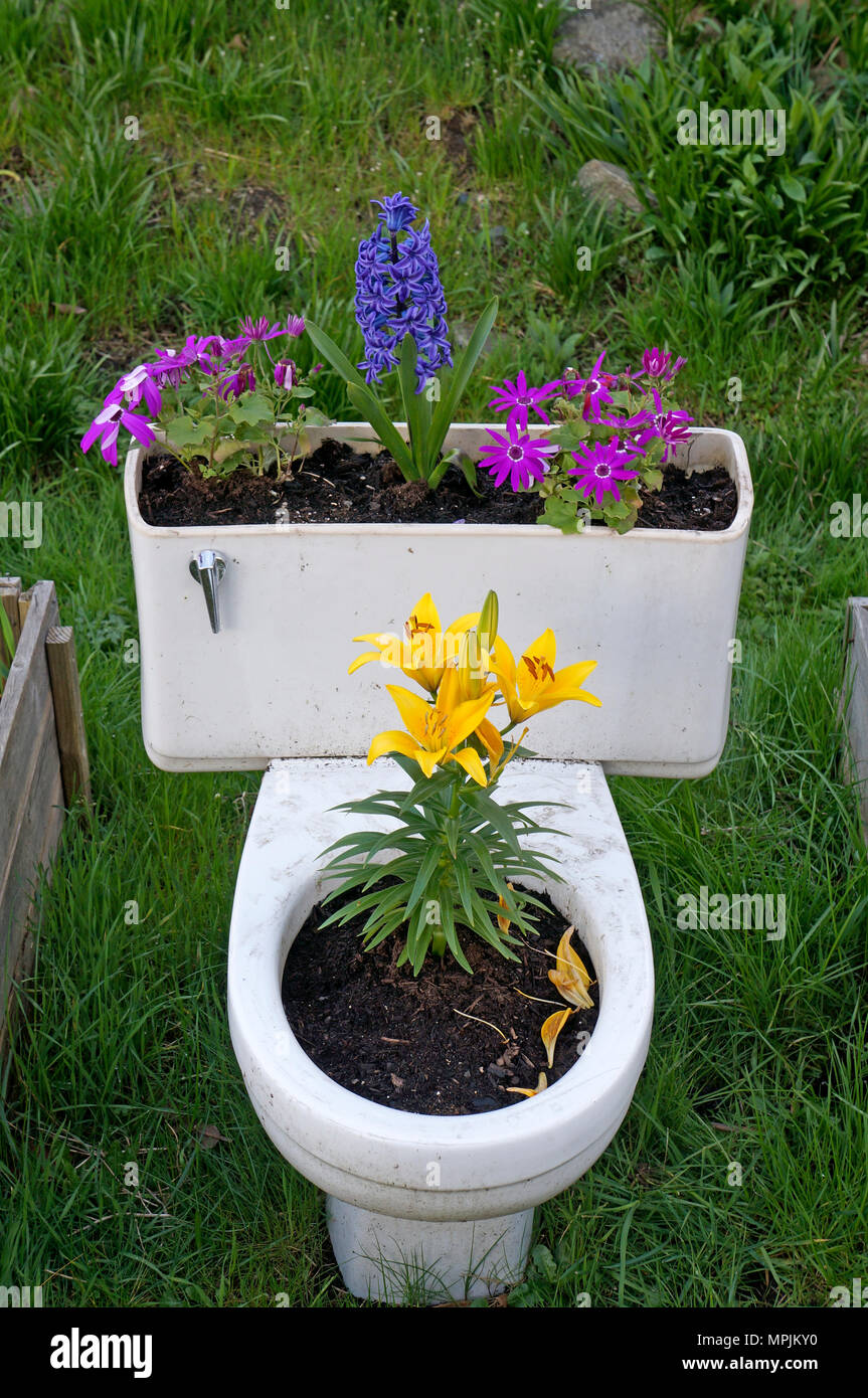 Toilet planter hi-res stock photography and images - Alamy
