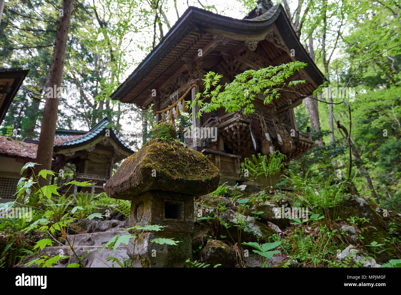 Low angle shot of Japanese stone lantern with Massha Kumano Shinto shrine in the background. Aomori prefecture, North Honshu, Japan. Stock Photo