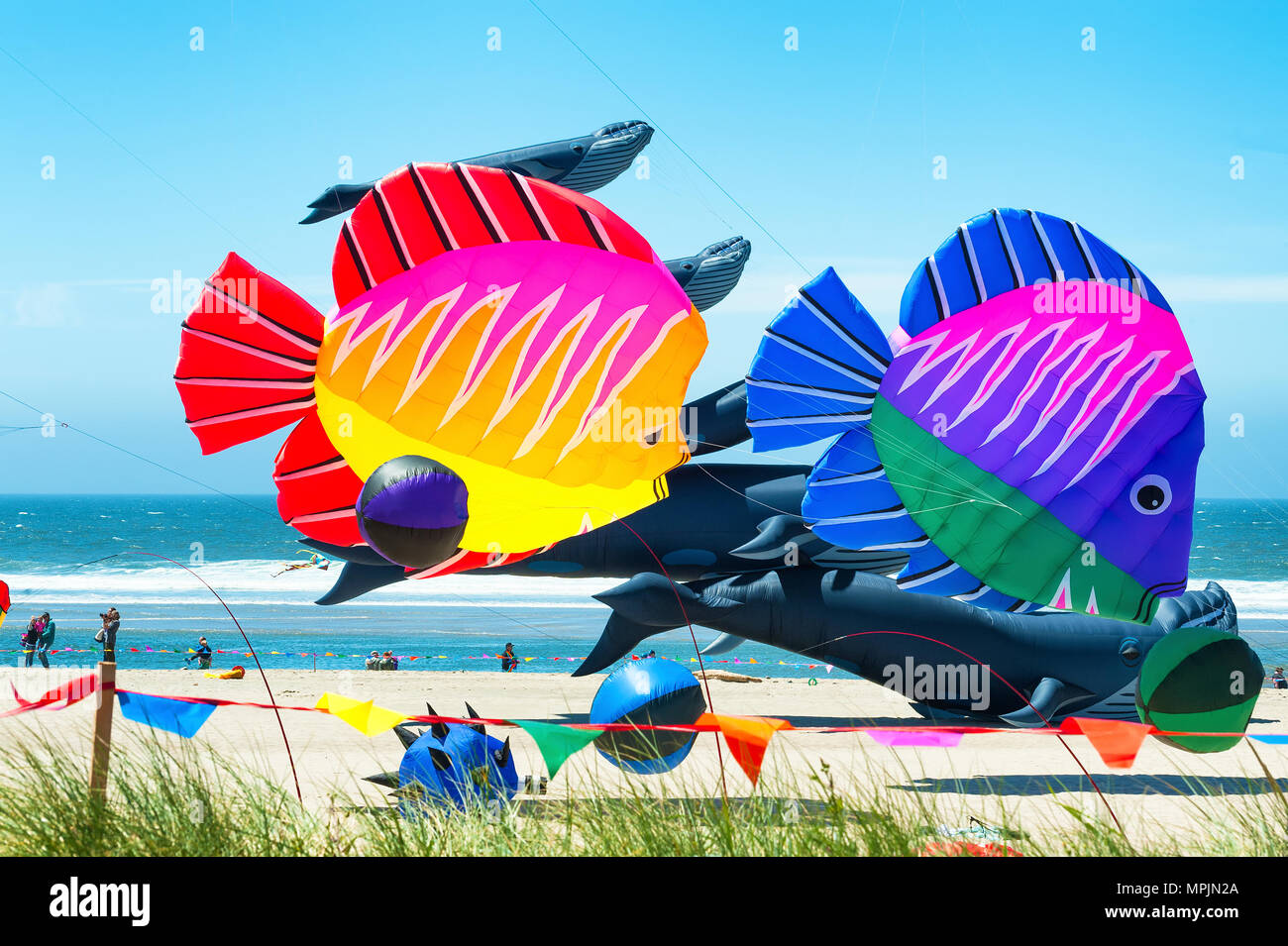 Lincoln City, Oregon, USA June 26,02016 Annual Kite Flying festival