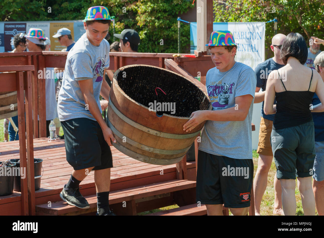 Carlton, Oregon,USA September 12, 2015Members of the Crush Crew dump