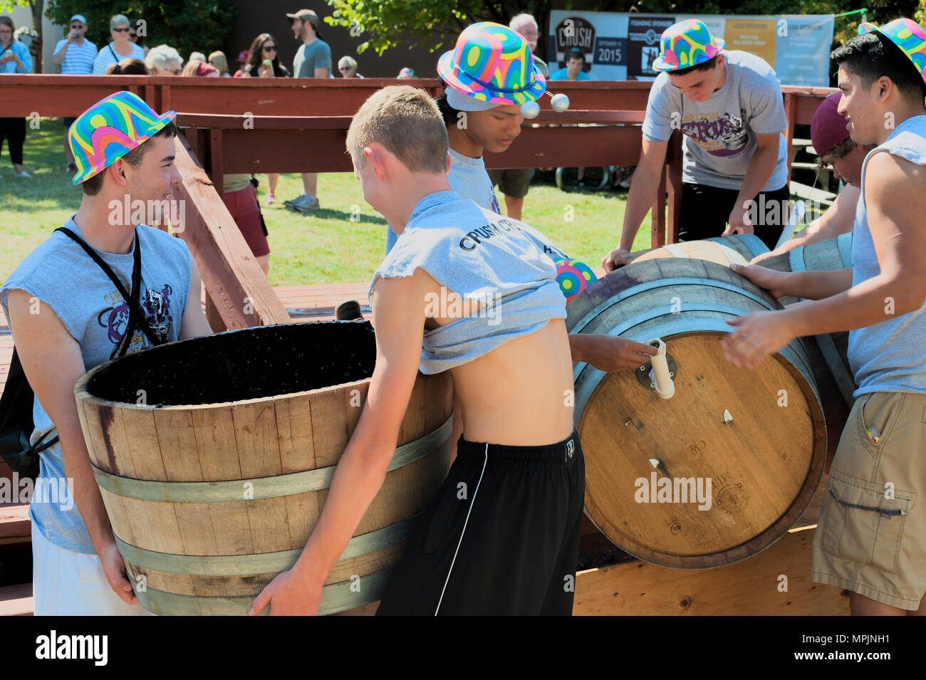 Carlton, Oregon,USA - September 12, 2015:Members of the Crush Crew dump the crushed grapes from the barrels at Carlton's Annual Wine Crush Harvest Fes Stock Photo