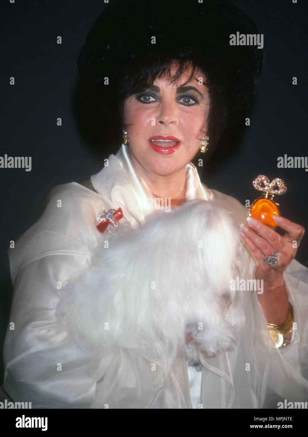 Elizabeth taylor 1993 hi-res stock photography and images - Alamy