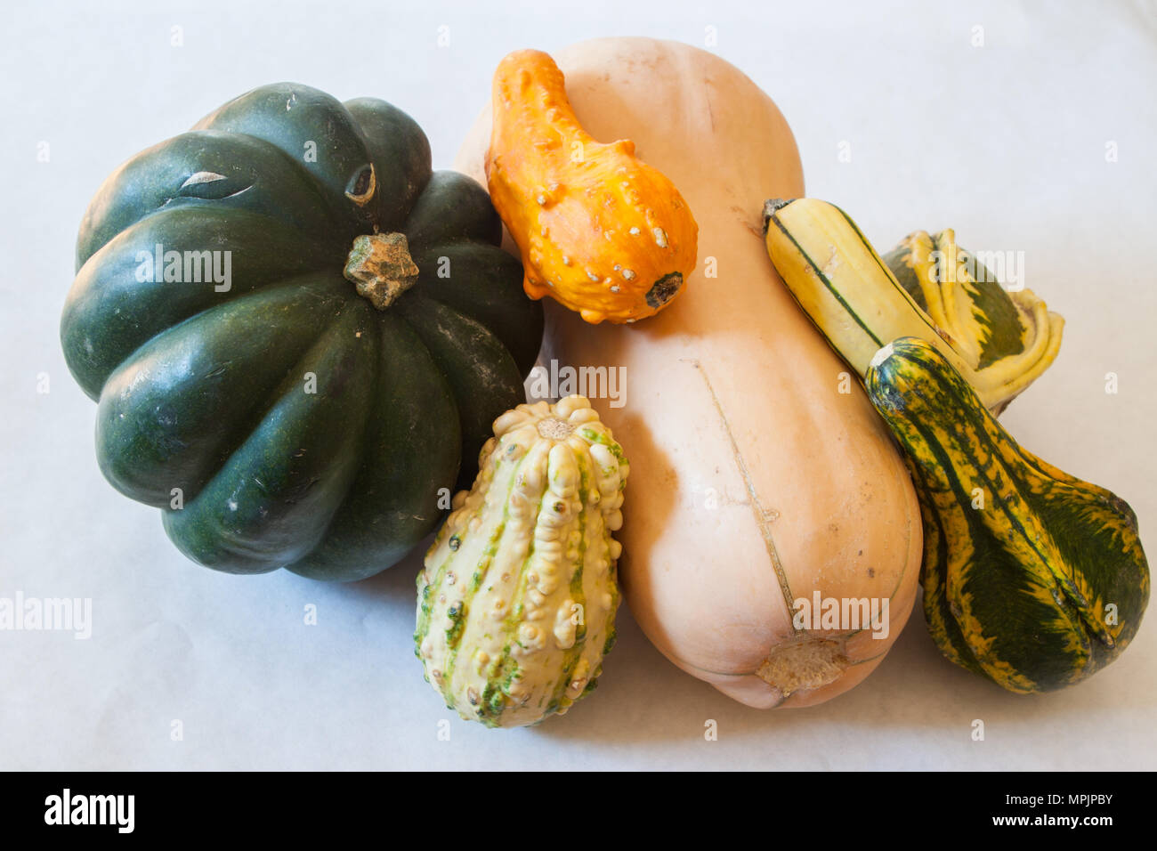 A still life of winter squash and ornamental gourds represents a bountiful harvest Stock Photo