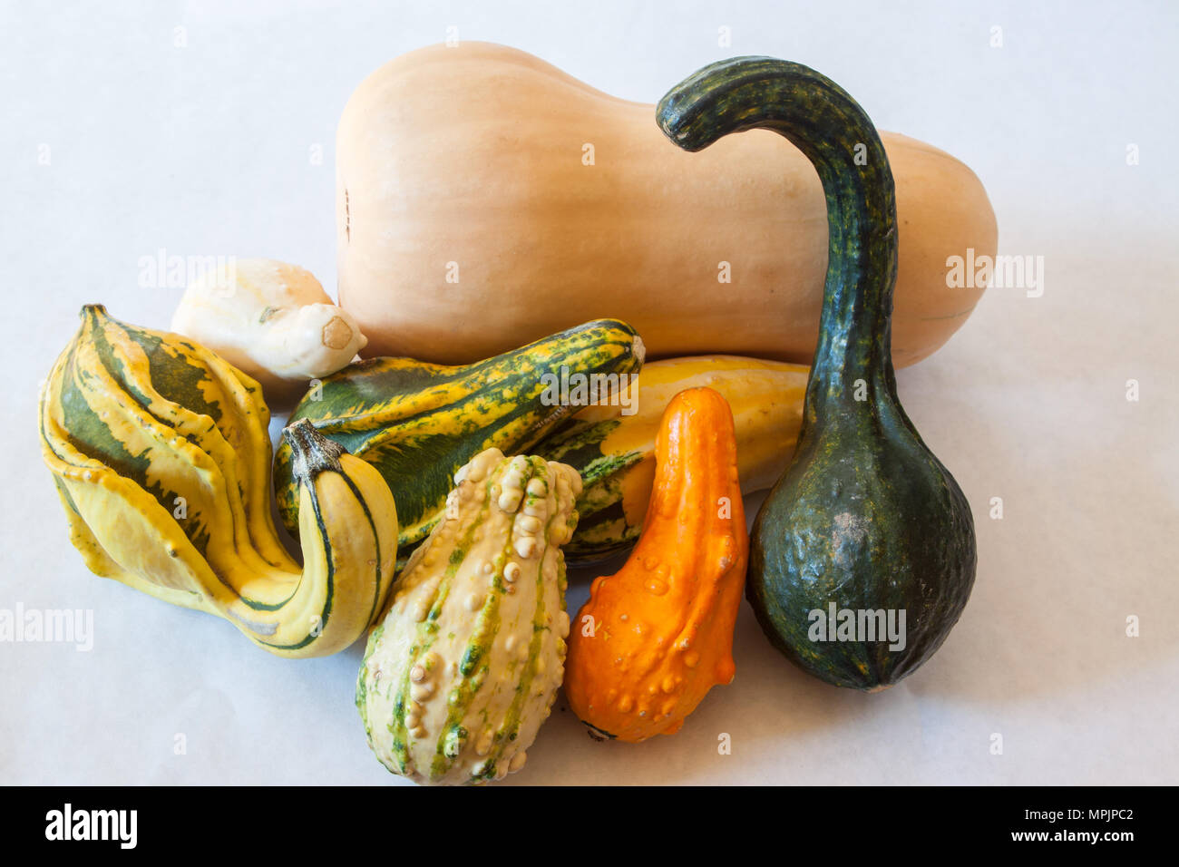 A still life of winter squash and ornamental gourds represents a bountiful harvest of nutritious foods Stock Photo