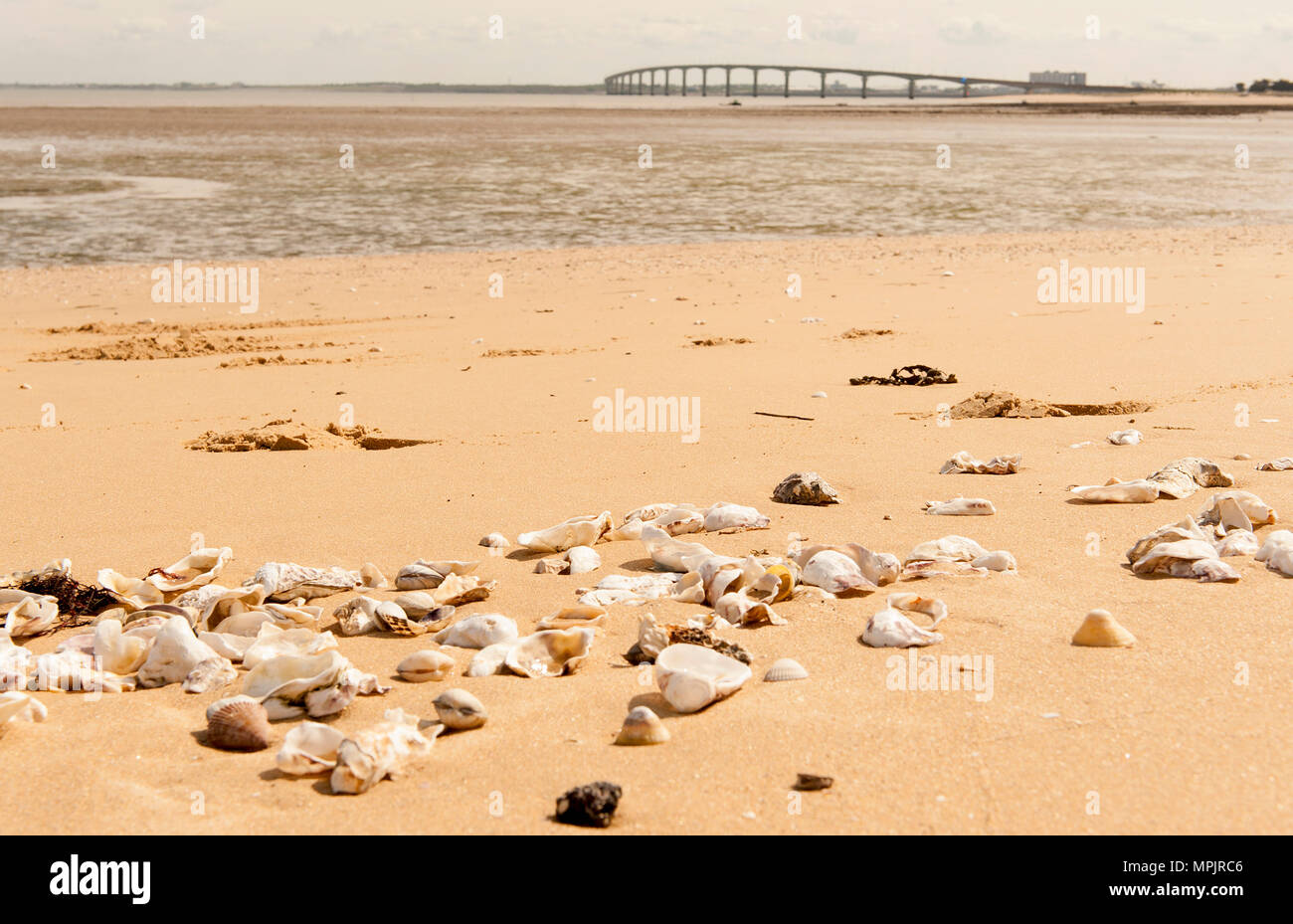 The beach of Sablanceaux,at low tide near the bridge connecting Île de Ré to the continent Stock Photo