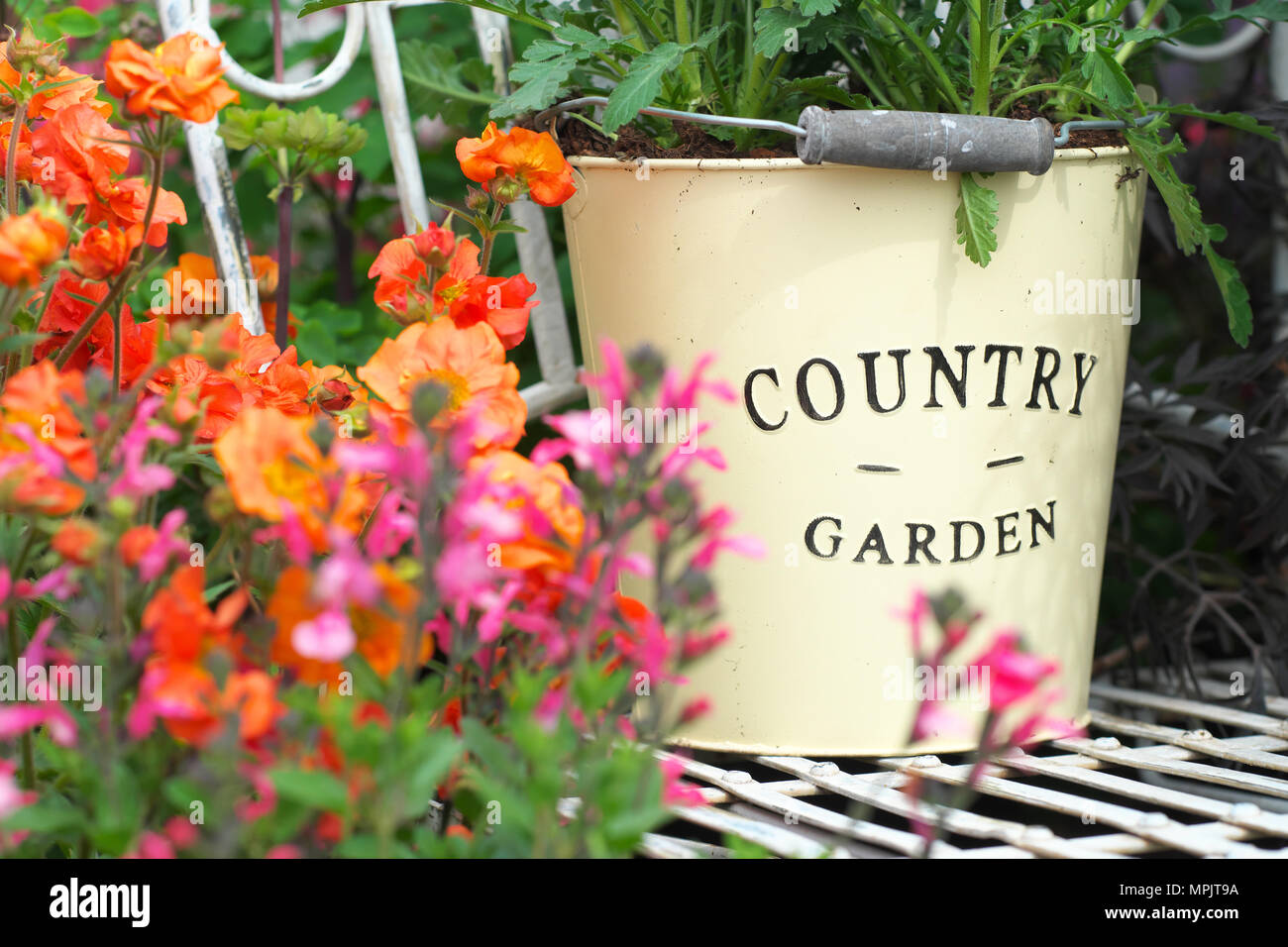 Bucket seat hires stock photography and images Alamy