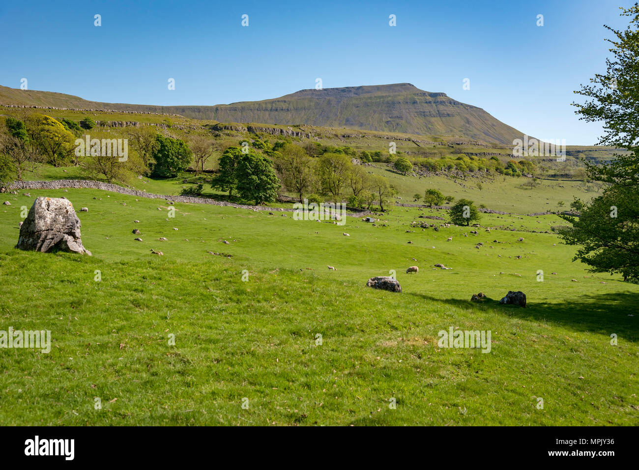 Ingleborough. The secondhighest mountain in the Yorkshire Dales. It is