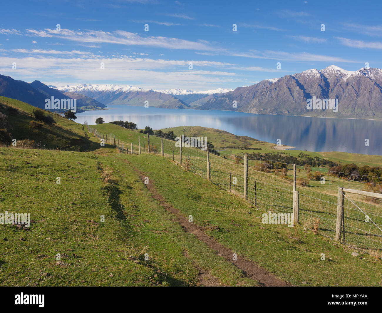 Rural landscape of New Zealand in daytime Stock Photo