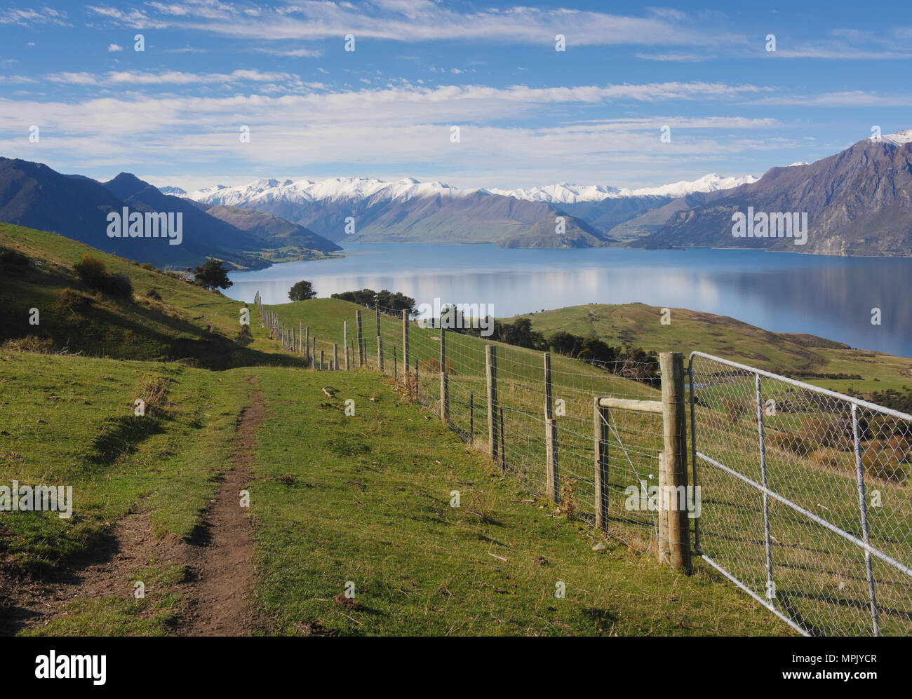 Rural landscape of New Zealand in daytime Stock Photo