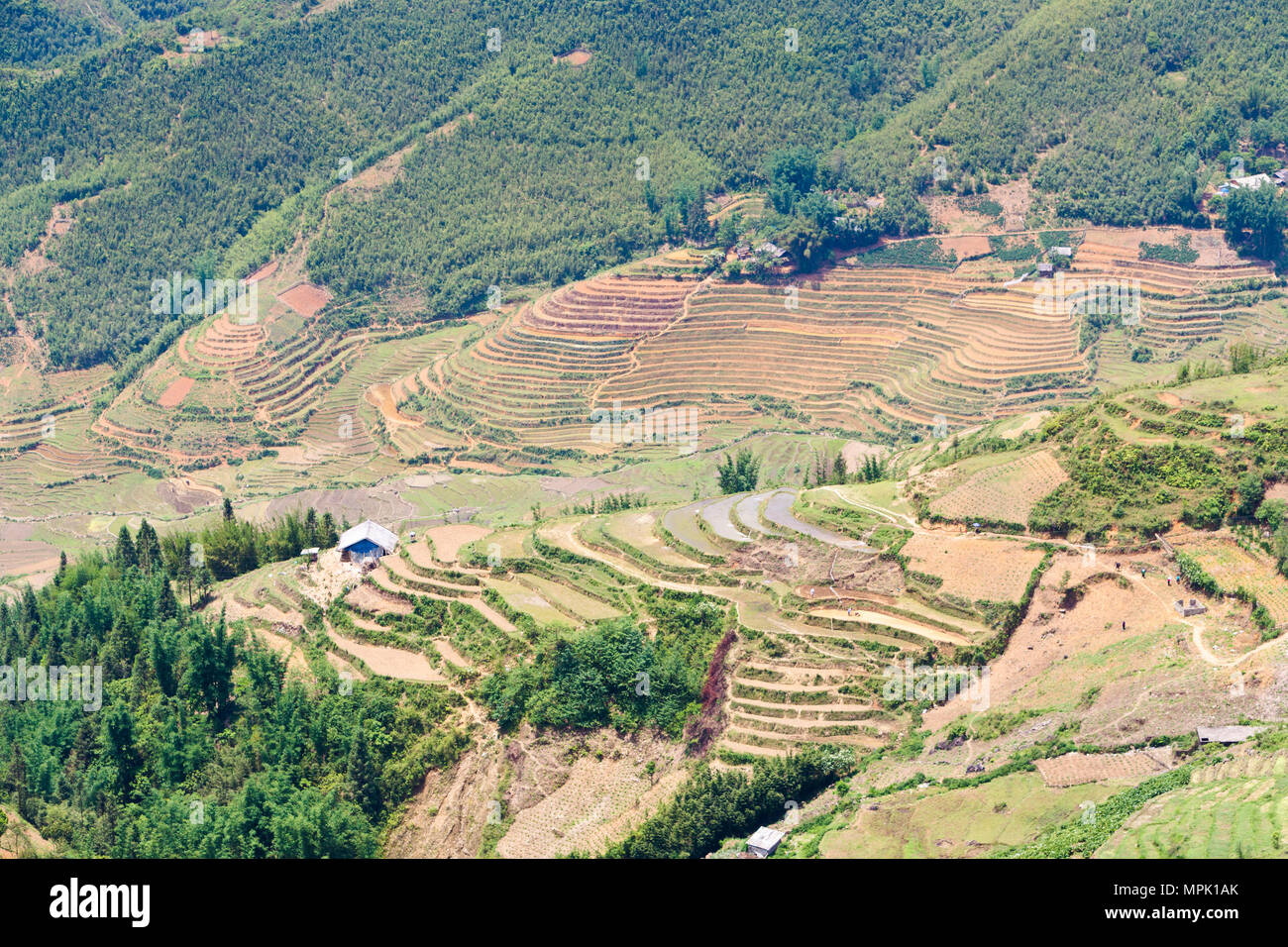 Rice terraces and mountain view, Sapa, Vietnam Stock Photo