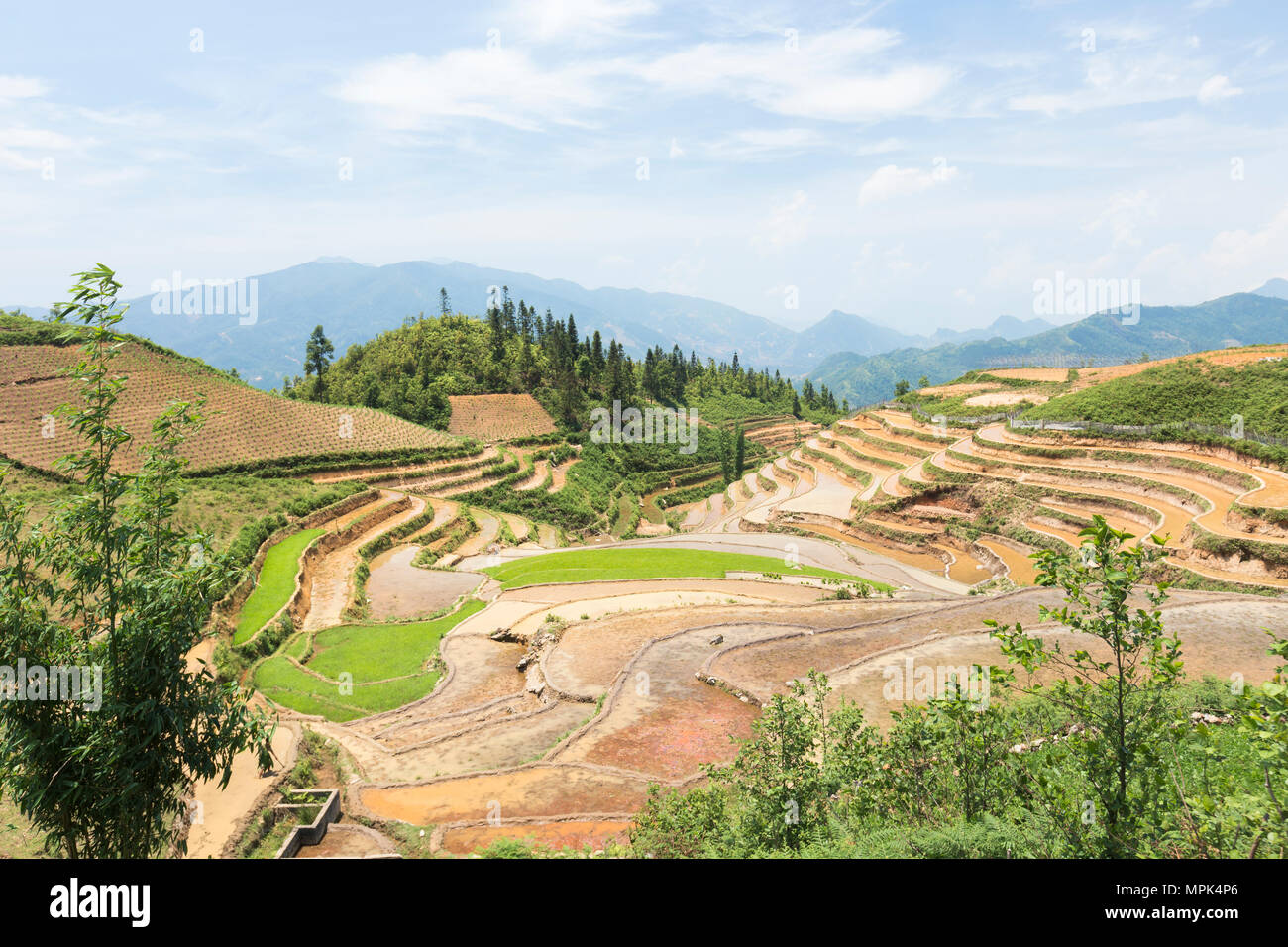 Rice terraces and countryside of Sapa, Vietnam Stock Photo