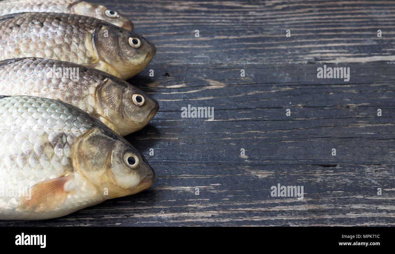 Freshly caught carp on wooden table Stock Photo