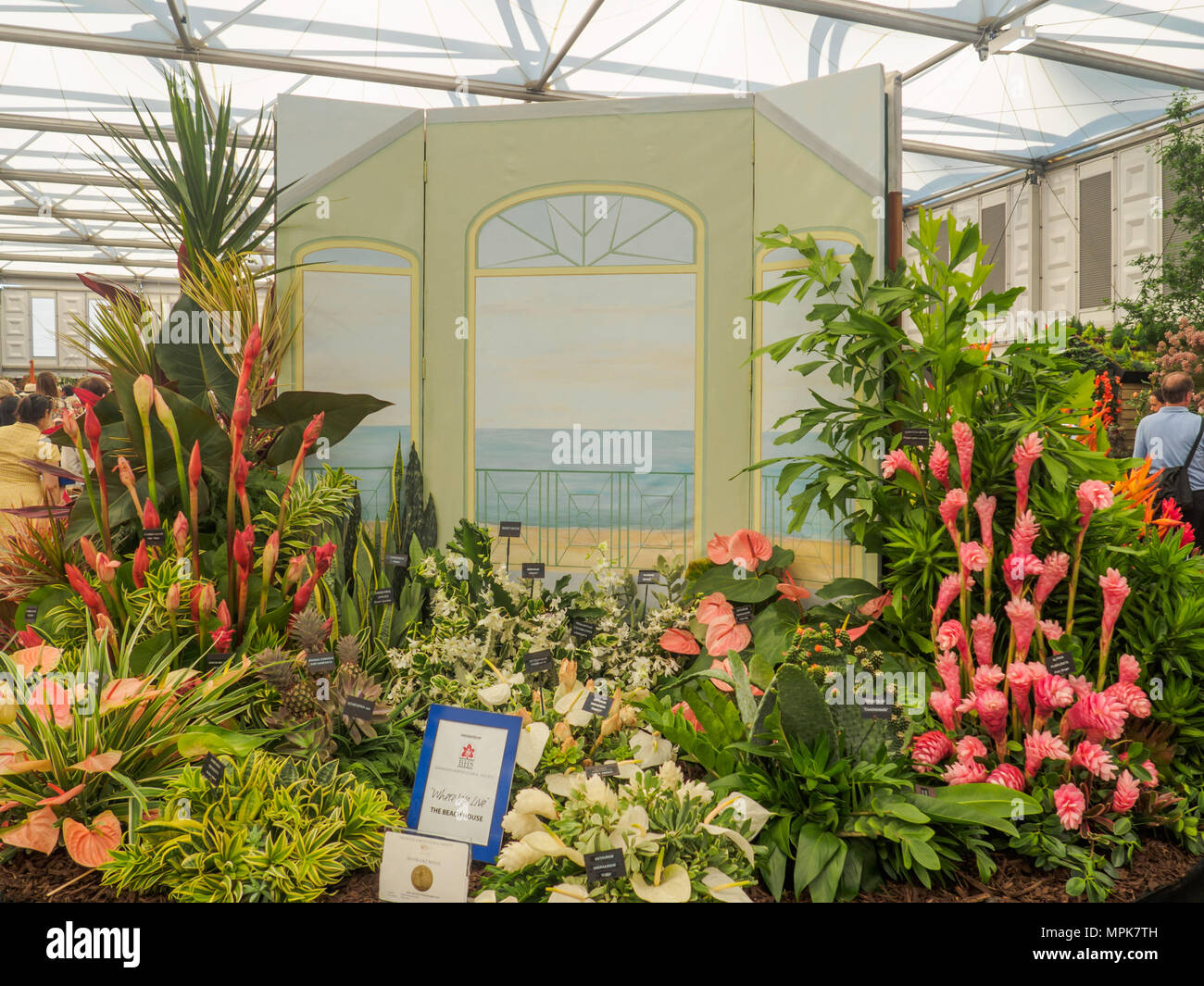 rhs chelsea flower show 2017. a barbados horticultural society