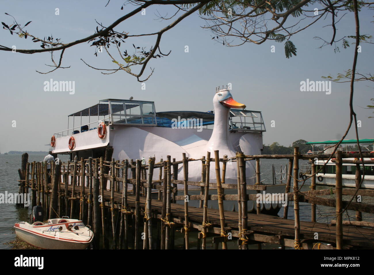 Big White Swan Boat, Fort Cochin, India Stock Photo Alamy