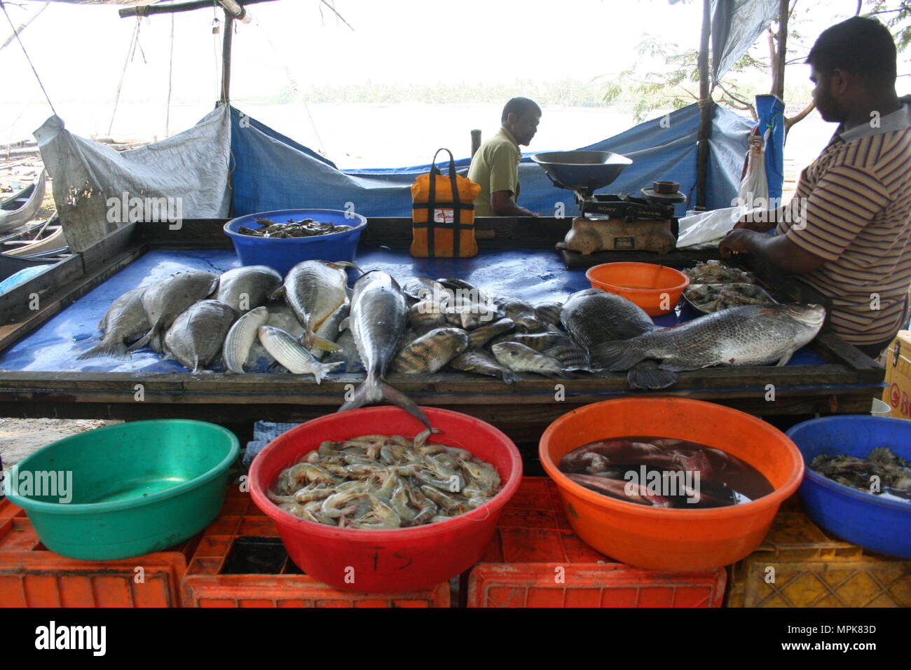 Fish Market, Fort Cochin, India Stock Photo