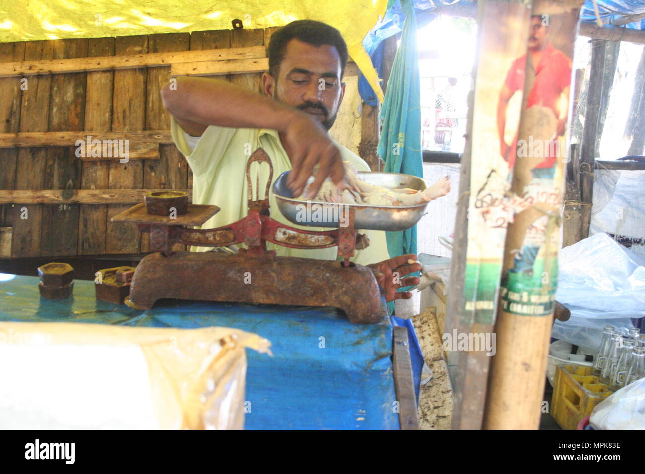 Man Weighing Fish, Fort Cochin, India Stock Photo