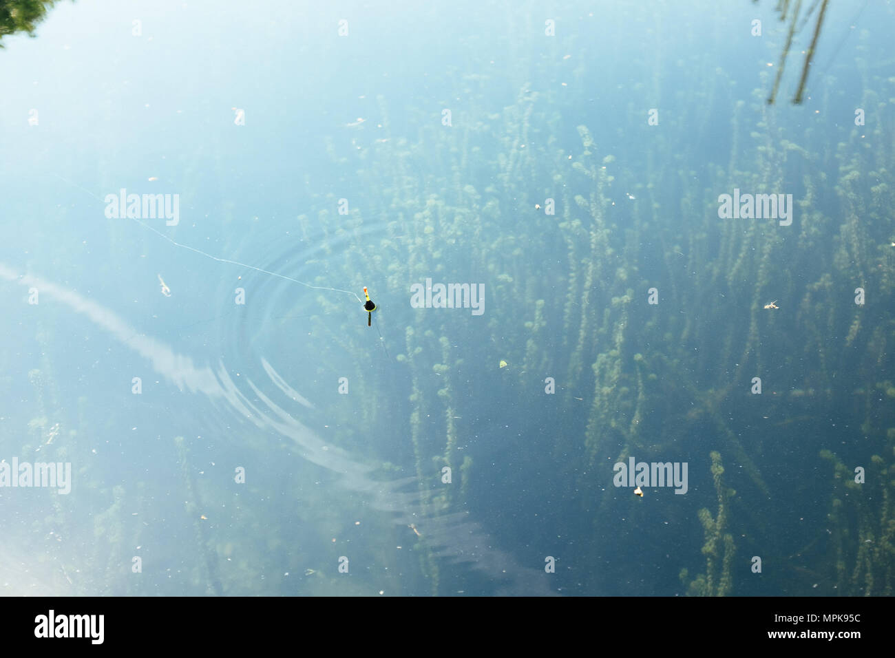 Fishing float in water Stock Photo Alamy