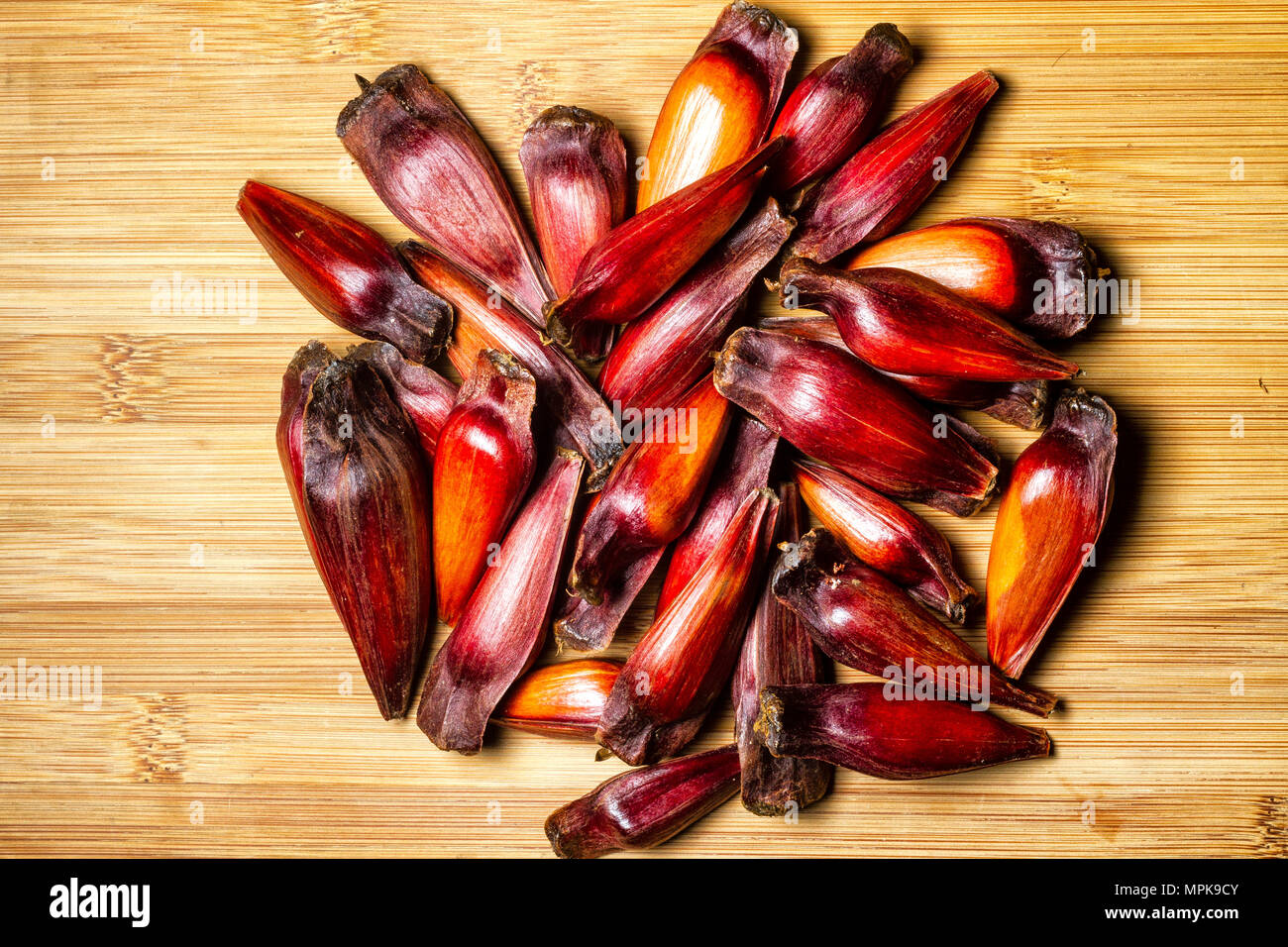 Araucaria Seed High Resolution Stock Photography And Images Alamy