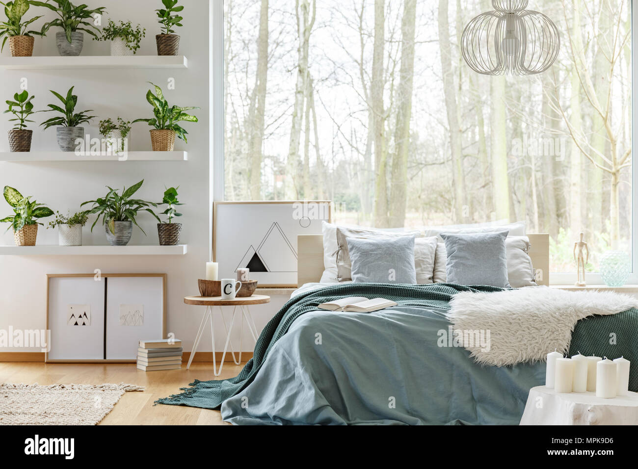 King-size bed and plants on shelves in cozy bedroom interior with a large  window Stock Photo - Alamy