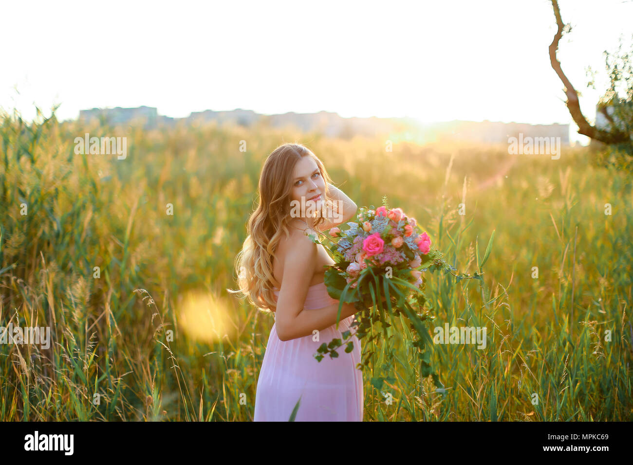 Steppe Flowers High Resolution Stock Photography And Images Alamy